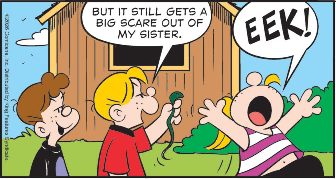 Animation OCR: BUT IT STILL GETS A BIG SCARE OUT OF MY SISTER. EEK! ©2026 ComicanaInc. Distributed by King Features Syndicate. BUT IT STILL GETS A BIG SCARE OUT OF MY SISTER . EEK ! © 2026 ComicanaInc. Distributed by King Features Syndicate .