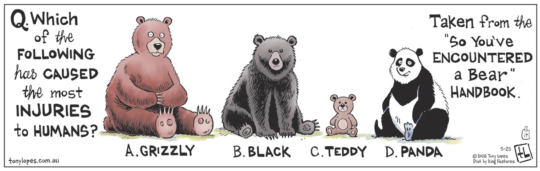 Photo caption OCR: Q. Which of the FOLLOWING has CAUSED the most INJURIES to HUMANS? tonylopes.com.au A. GRIZZLY ?? Taken from the "So You've ENCOUNTERED a Bear" HANDBOOK. B. BLACK C.TEDDY D. PANDA 5-25 2026 Tony Lopes Dist. by King Features Q. Which of the FOLLOWING has CAUSED the most INJURIES to HUMANS ? tonylopes.com.au A. GRIZZLY ?? Taken from the " So You've ENCOUNTERED a Bear " HANDBOOK . B. BLACK C.TEDDY D. PANDA 5-25 2026 Tony Lopes Dist . by King Features