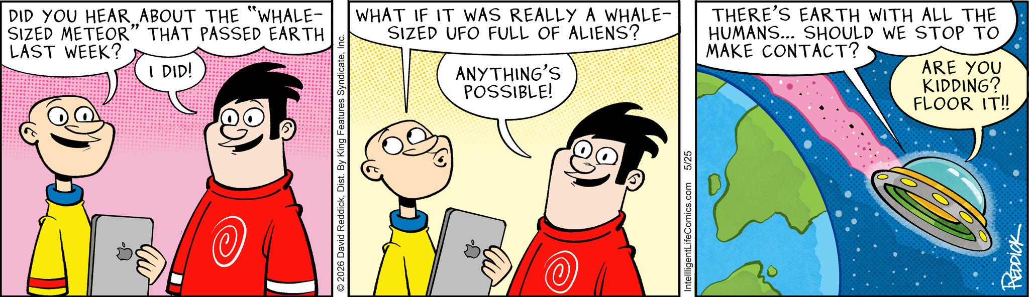 Illustration OCR: " DID YOU HEAR ABOUT THE "WHALE- SIZED METEOR” THAT PASSED EARTH LAST WEEK? I DID! ©2026 David ReddickInc. ?? WHAT IF IT WAS REALLY A WHALE- SIZED UFO FULL OF ALIENS? ANYTHING'S POSSIBLE! THERE'S EARTH WITH ALL THE HUMANS... SHOULD WE STOP TO MAKE CONTACT? ARE YOU KIDDING? FLOOR IT!! IntellligentLifeComics.com 5/25 REDDICK " DID YOU HEAR ABOUT THE " WHALE- SIZED METEOR ” THAT PASSED EARTH LAST WEEK ? I DID ! © 2026 David ReddickDist . By King Features SyndicateInc. ?? WHAT IF IT WAS REALLY A WHALE- SIZED UFO FULL OF ALIENS ? ANYTHING'S POSSIBLE ! THERE'S EARTH WITH ALL THE HUMANS ... SHOULD WE STOP TO MAKE CONTACT ? ARE YOU KIDDING ? FLOOR IT !! IntellligentLifeComics.com 5/25 REDDICK
