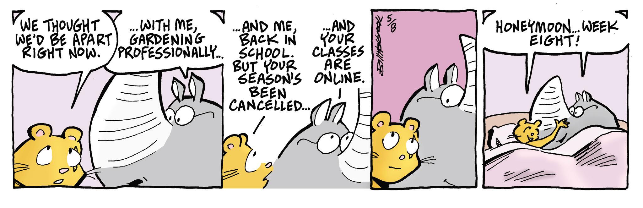 Comics OCR: WE THOUGHT WE'D BE APART RIGHT NOW. WITH MEGARDENING PROFESSIONALLY... .. AND MEBACK IN ...AND YOUR HONEYMOON... WEEK EIGHT! SCHOOL. CLASSES BUT YOUR ARE SEASON'S ONLINE. BEEN CANCELLED... h WE THOUGHT WE'D BE APART RIGHT NOW . WITH MEGARDENING PROFESSIONALLY ... .. AND MEBACK IN ... AND YOUR HONEYMOON ... WEEK EIGHT ! SCHOOL . CLASSES BUT YOUR ARE SEASON'S ONLINE . BEEN CANCELLED ... h