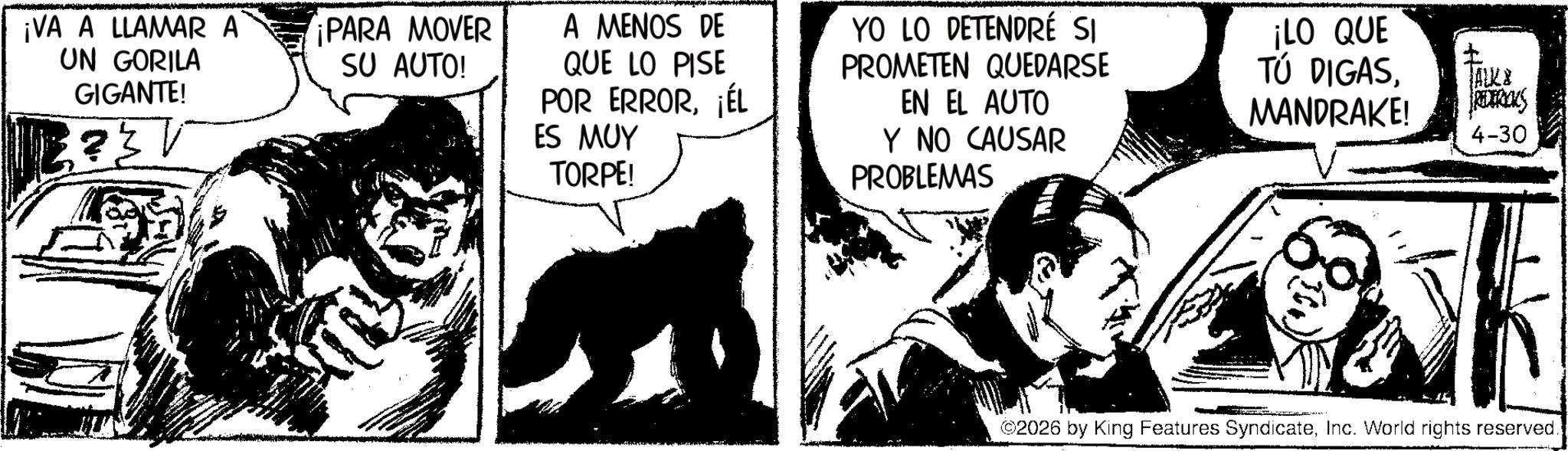 Animated cartoon OCR: ¡VA A LLAMAR A UN GORILA GIGANTE! ¡PARA MOVER SU AUTO! A MENOS DE QUE LO PISE POR ERROR¡ÉL ES MUY TORPE! YO LO DETENDRÉ SI PROMETEN QUEDARSE EN EL AUTO Y NO CAUSAR PROBLEMAS ¡LO QUE TÚ DIGASMANDRAKE! JALKE REDERICKS 4-30 ©2026 by King Features SyndicateInc. World rights reserved. ¡ VA A LLAMAR A UN GORILA GIGANTE ! ¡ PARA MOVER SU AUTO ! A MENOS DE QUE LO PISE POR ERROR¡ ÉL ES MUY TORPE ! YO LO DETENDRÉ SI PROMETEN QUEDARSE EN EL AUTO Y NO CAUSAR PROBLEMAS ¡ LO QUE TÚ DIGASMANDRAKE ! JALKE REDERICKS 4-30 © 2026 by King Features SyndicateInc. World rights reserved .