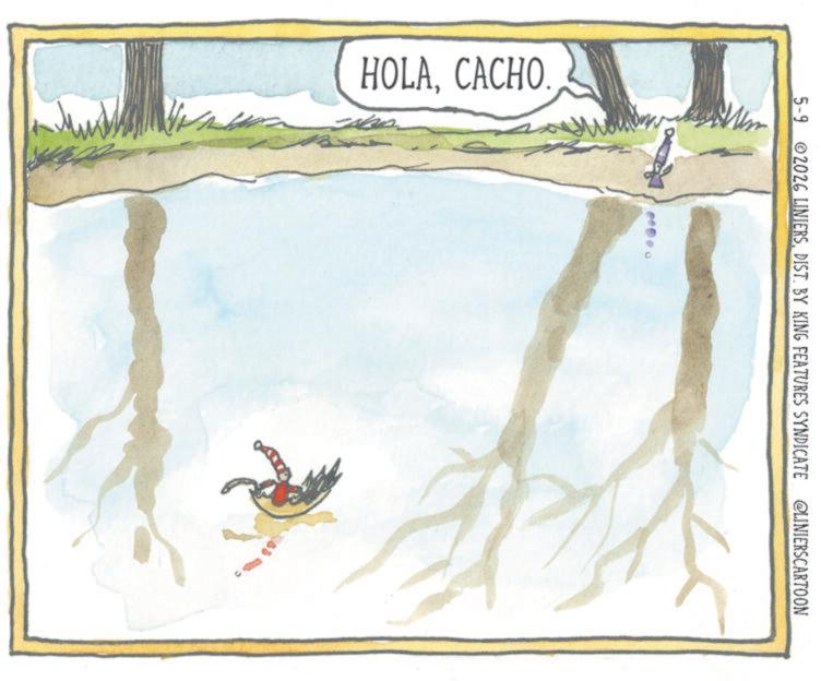 Graphics OCR: HOLACACHO. 5-92026 LINIERSDIST. BY KING FEATURES SYNDICATE @LINIERSCARTOON HOLACACHO . 5-92026 LINIERSDIST . BY KING FEATURES SYNDICATE @LINIERSCARTOON