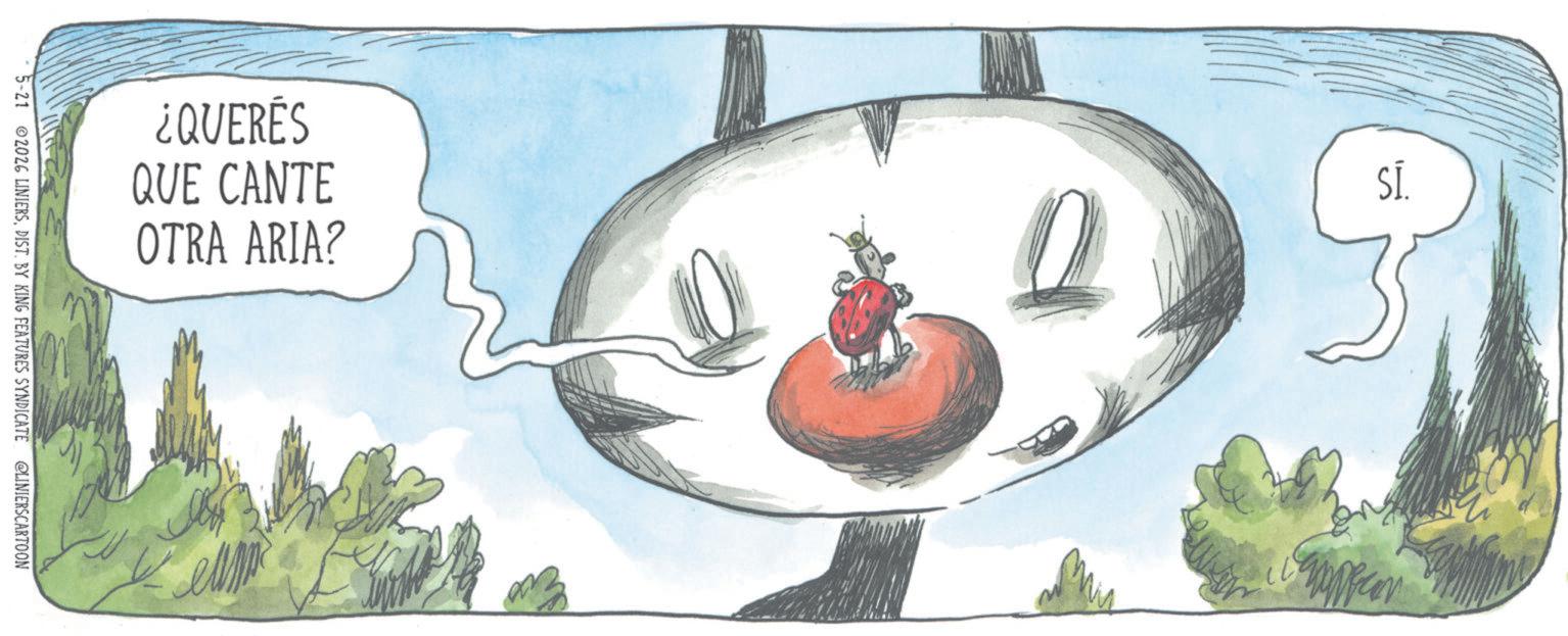 Fiction OCR: ¿QUERÉS QUE CANTE OTRA ARIA? SÍ. 5-21 2026 LINIERSDIST. BY KING FEATURES SYNDICATE @LINIERSCARTOON ¿ QUERÉS QUE CANTE OTRA ARIA ? SÍ . 5-21 2026 LINIERSDIST . BY KING FEATURES SYNDICATE @LINIERSCARTOON
