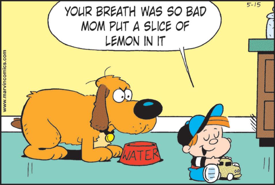 Happiness OCR: www.marvincomics.com YOUR BREATH WAS SO BAD MOM PUT A SLICE OF LEMON IN IT WATER 5-15 www.marvincomics.com YOUR BREATH WAS SO BAD MOM PUT A SLICE OF LEMON IN IT WATER 5-15