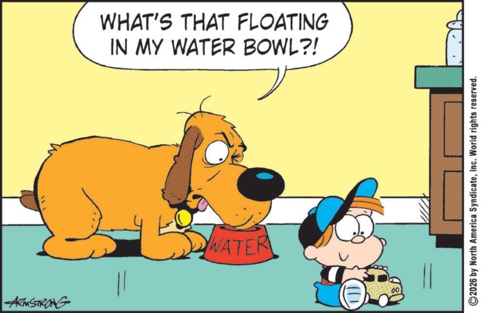 Graphics OCR: ARMSTRONG WHAT'S THAT FLOATING IN MY WATER BOWL?! WATER 2026 by North America SyndicateInc. World rights reserved. ARMSTRONG WHAT'S THAT FLOATING IN MY WATER BOWL ?! WATER 2026 by North America SyndicateInc. World rights reserved .
