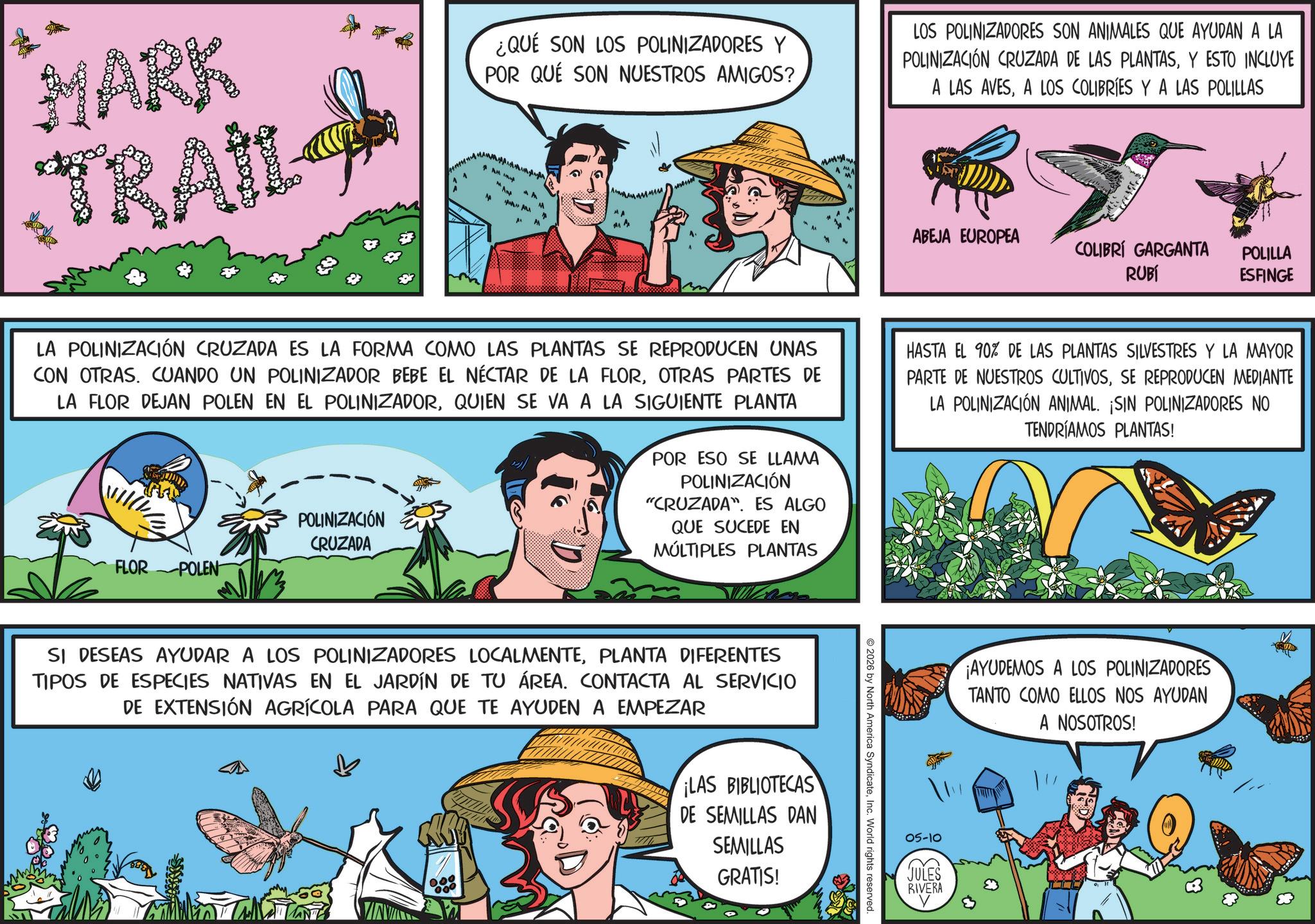 Animation OCR: MARK TRAIL ¿QUÉ SON LOS POLINIZADORES Y POR QUÉ SON NUESTROS AMIGOS? LOS POLINIZADORES SON ANIMALES QUE AYUDAN A LA POLINIZACIÓN CRUZADA DE LAS PLANTASY ESTO INCLUYE A LAS AVESA LOS COLIBRÍES Y A LAS POLILLAS ? AM MAN 4 A M M " M ABEJA EUROPEA COLIBRI GARGANTA RUBÍ POLILLA ESFINGE LA POLINIZACIÓN CRUZADA ES LA FORMA COMO LAS PLANTAS SE REPRODUCEN UNAS CON OTRAS. CUANDO UN POLINIZADOR BEBE EL NÉCTAR DE LA FLOROTRAS PARTES DE LA FLOR DEJAN POLEN EN EL POLINIZADORQUIEN SE VA A LA SIGUIENTE PLANTA FLOR POLEN POLINIZACIÓN CRUZADA POR ESO SE LLAMA POLINIZACIÓN "CRUZADA". ES ALGO QUE SUCEDE EN MÚLTIPLES PLANTAS HASTA EL 90% DE LAS PLANTAS SILVESTRES Y LA MAYOR PARTE DE NUESTROS CULTIVOSSE REPRODUCEN MEDIANTE LA POLINIZACIÓN ANIMAL. ¡SIN POLINIZADORES NO TENDRÍAMOS PLANTAS! SI DESEAS AYUDAR A LOS POLINIZADORES LOCALMENTEPLANTA DIFERENTES TIPOS DE ESPECIES NATIVAS EN EL JARDÍN DE TU ÁREA. CONTACTA AL SERVICIO DE EXTENSIÓN AGRÍCOLA PARA QUE TE AYUDEN A EMPEZAR 000 000 ¡LAS BIBLIOTECAS DE SEMILLAS DAN SEMILLAS GRATIS! 2026 by North America SyndicateInc. World rights reserved. 05-10 JULES RIVERA ¡AYUDEMOS A LOS POLINIZADORES TANTO COMO ELLOS NOS AYUDAN A NOSOTROS! MARK TRAIL ¿ QUÉ SON LOS POLINIZADORES Y POR QUÉ SON NUESTROS AMIGOS ? LOS POLINIZADORES SON ANIMALES QUE AYUDAN A LA POLINIZACIÓN CRUZADA DE LAS PLANTASY ESTO INCLUYE A LAS AVESA LOS COLIBRÍES Y A LAS POLILLAS ? AM MAN 4 A M M " M ABEJA EUROPEA COLIBRI GARGANTA RUBÍ POLILLA ESFINGE LA POLINIZACIÓN CRUZADA ES LA FORMA COMO LAS PLANTAS SE REPRODUCEN UNAS CON OTRAS . CUANDO UN POLINIZADOR BEBE EL NÉCTAR DE LA FLOROTRAS PARTES DE LA FLOR DEJAN POLEN EN EL POLINIZADORQUIEN SE VA A LA SIGUIENTE PLANTA FLOR POLEN POLINIZACIÓN CRUZADA POR ESO SE LLAMA POLINIZACIÓN " CRUZADA " . ES ALGO QUE SUCEDE EN MÚLTIPLES PLANTAS HASTA EL 90 % DE LAS PLANTAS SILVESTRES Y LA MAYOR PARTE DE NUESTROS CULTIVOSSE REPRODUCEN MEDIANTE LA POLINIZACIÓN ANIMAL . ¡ SIN POLINIZADORES NO TENDRÍAMOS PLANTAS ! SI DESEAS AYUDAR A LOS POLINIZADORES LOCALMENTEPLANTA DIFERENTES TIPOS DE ESPECIES NATIVAS EN EL JARDÍN DE TU ÁREA . CONTACTA AL SERVICIO DE EXTENSIÓN AGRÍCOLA PARA QUE TE AYUDEN A EMPEZAR 000 000 ¡ LAS BIBLIOTECAS DE SEMILLAS DAN SEMILLAS GRATIS ! 2026 by North America SyndicateInc. World rights reserved . 05-10 JULES RIVERA ¡ AYUDEMOS A LOS POLINIZADORES TANTO COMO ELLOS NOS AYUDAN A NOSOTROS !
