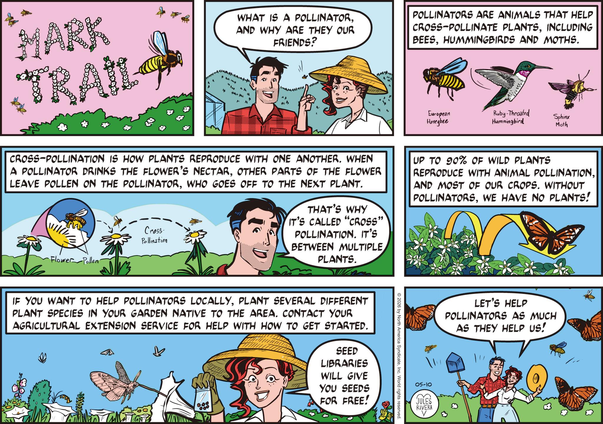 Fiction OCR: MARK TRAIL M WHAT IS A POLLINATORAND WHY ARE THEY OUR FRIENDS? POLLINATORS ARE ANIMALS THAT HELP CROSS-POLLINATE PLANTSINCLUDING BEESHUMMINGBIRDS AND MOTHS. MAN M M " M European Honeybee Ruby-Throated Hummingbird Sphinx Moth CROSS-POLLINATION IS HOW PLANTS REPRODUCE WITH ONE ANOTHER. WHEN A POLLINATOR DRINKS THE FLOWER'S NECTAROTHER PARTS OF THE FLOWER LEAVE POLLEN ON THE POLLINATORWHO GOES OFF TO THE NEXT PLANT. Flower Pollen Cross- Pollination THAT'S WHY IT'S CALLED "CROSS” POLLINATION. IT'S BETWEEN MULTIPLE PLANTS. UP TO 90% OF WILD PLANTS REPRODUCE WITH ANIMAL POLLINATIONAND MOST OF OUR CROPS. WITHOUT POLLINATORSWE HAVE NO PLANTS! IF YOU WANT TO HELP POLLINATORS LOCALLYPLANT SEVERAL DIFFERENT PLANT SPECIES IN YOUR GARDEN NATIVE TO THE AREA. CONTACT YOUR AGRICULTURAL EXTENSION SERVICE FOR HELP WITH HOW TO GET STARTED. SEED LIBRARIES WILL GIVE YOU SEEDS FOR FREE! 2026 by North America SyndicateInc. World rights reserved. LET'S HELP POLLINATORS AS MUCH AS THEY HELP US! 05-10 JULES RIVERA MARK TRAIL M WHAT IS A POLLINATORAND WHY ARE THEY OUR FRIENDS ? POLLINATORS ARE ANIMALS THAT HELP CROSS - POLLINATE PLANTSINCLUDING BEESHUMMINGBIRDS AND MOTHS . MAN M M " M European Honeybee Ruby - Throated Hummingbird Sphinx Moth CROSS - POLLINATION IS HOW PLANTS REPRODUCE WITH ONE ANOTHER . WHEN A POLLINATOR DRINKS THE FLOWER'S NECTAROTHER PARTS OF THE FLOWER LEAVE POLLEN ON THE POLLINATORWHO GOES OFF TO THE NEXT PLANT . Flower Pollen Cross- Pollination THAT'S WHY IT'S CALLED " CROSS ” POLLINATION . IT'S BETWEEN MULTIPLE PLANTS . UP TO 90 % OF WILD PLANTS REPRODUCE WITH ANIMAL POLLINATIONAND MOST OF OUR CROPS . WITHOUT POLLINATORSWE HAVE NO PLANTS ! IF YOU WANT TO HELP POLLINATORS LOCALLYPLANT SEVERAL DIFFERENT PLANT SPECIES IN YOUR GARDEN NATIVE TO THE AREA . CONTACT YOUR AGRICULTURAL EXTENSION SERVICE FOR HELP WITH HOW TO GET STARTED . SEED LIBRARIES WILL GIVE YOU SEEDS FOR FREE ! 2026 by North America SyndicateInc. World rights reserved . LET'S HELP POLLINATORS AS MUCH AS THEY HELP US ! 05-10 JULES RIVERA