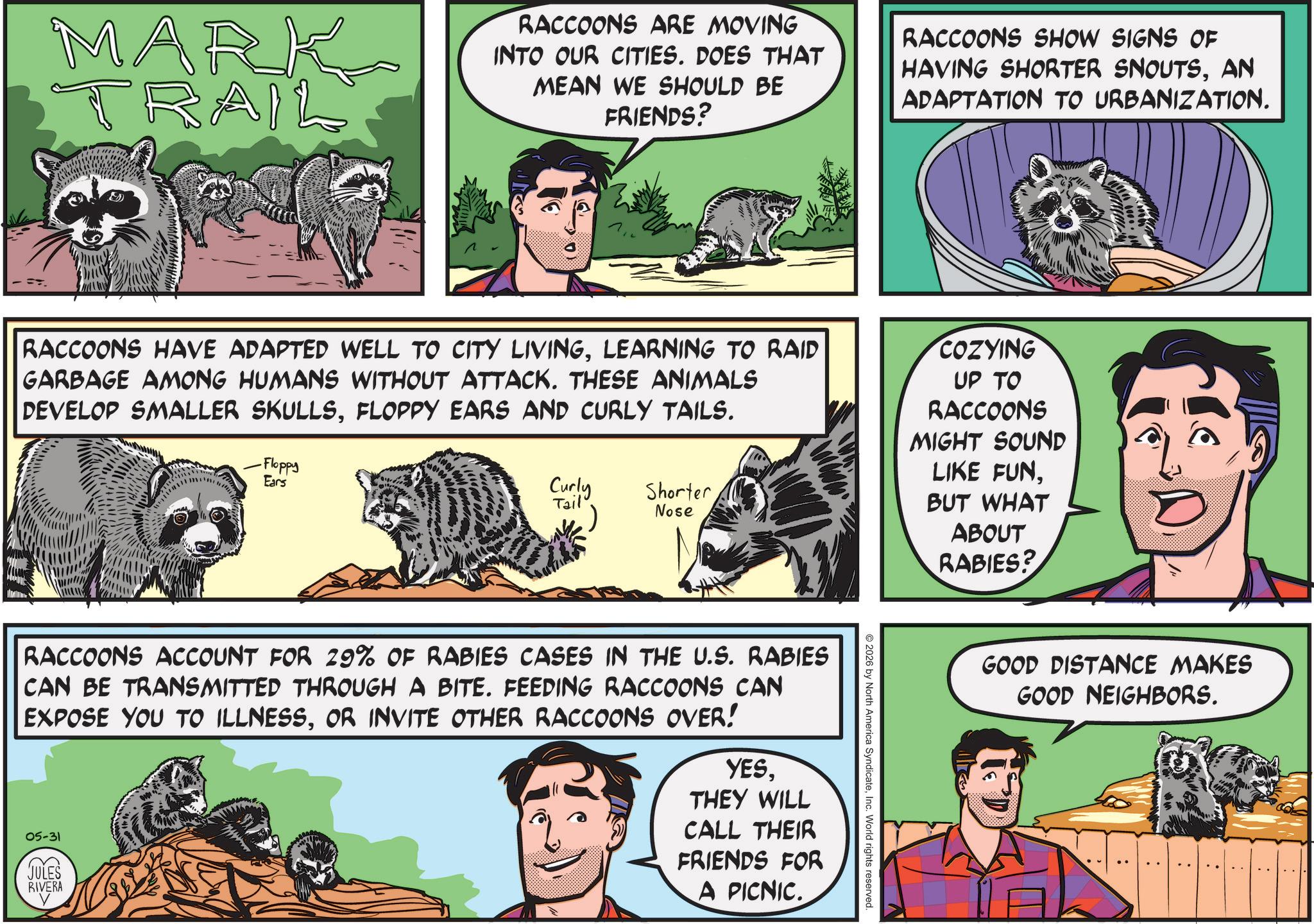 Comics OCR: MARK TRAIL RACCOONS ARE MOVING INTO OUR CITIES. DOES THAT MEAN WE SHOULD BE FRIENDS? RACCOONS SHOW SIGNS OF HAVING SHORTER SNOUTSAN ADAPTATION TO URBANIZATION. RACCOONS HAVE ADAPTED WELL TO CITY LIVINGLEARNING TO RAID GARBAGE AMONG HUMANS WITHOUT ATTACK. THESE ANIMALS DEVELOP SMALLER SKULLSFLOPPY EARS AND CURLY TAILS. -Floppy Ears Curly Tail Shorter Nose COZYING UP TO RACCOONS MIGHT SOUND LIKE FUNBUT WHAT ABOUT RABIES? 2026 by North America SyndicateInc. World rights reserved. RACCOONS ACCOUNT FOR 29% OF RABIES CASES IN THE U.S. RABIES CAN BE TRANSMITTED THROUGH A BITE. FEEDING RACCOONS CAN EXPOSE YOU TO ILLNESSOR INVITE OTHER RACCOONS OVER! 05-31 JULES RIVERA YESTHEY WILL CALL THEIR FRIENDS FOR A PICNIC. GOOD DISTANCE MAKES GOOD NEIGHBORS. MARK TRAIL RACCOONS ARE MOVING INTO OUR CITIES . DOES THAT MEAN WE SHOULD BE FRIENDS ? RACCOONS SHOW SIGNS OF HAVING SHORTER SNOUTSAN ADAPTATION TO URBANIZATION . RACCOONS HAVE ADAPTED WELL TO CITY LIVINGLEARNING TO RAID GARBAGE AMONG HUMANS WITHOUT ATTACK . THESE ANIMALS DEVELOP SMALLER SKULLSFLOPPY EARS AND CURLY TAILS . -Floppy Ears Curly Tail Shorter Nose COZYING UP TO RACCOONS MIGHT SOUND LIKE FUNBUT WHAT ABOUT RABIES ? 2026 by North America SyndicateInc. World rights reserved . RACCOONS ACCOUNT FOR 29 % OF RABIES CASES IN THE U.S. RABIES CAN BE TRANSMITTED THROUGH A BITE . FEEDING RACCOONS CAN EXPOSE YOU TO ILLNESSOR INVITE OTHER RACCOONS OVER ! 05-31 JULES RIVERA YESTHEY WILL CALL THEIR FRIENDS FOR A PICNIC . GOOD DISTANCE MAKES GOOD NEIGHBORS .