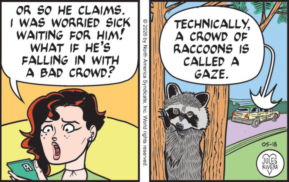 Animation OCR: OR SO HE CLAIMS. I WAS WORRIED SICK WAITING FOR HIM! WHAT IF HE'S FALLING IN WITH A BAD CROWD? BY © 2026 by North America SyndicateInc. World rights reserved. TECHNICALLYA CROWD OF RACCOONS IS CALLED A GAZE. 05-18 JULES RIVERA ? OR SO HE CLAIMS . I WAS WORRIED SICK WAITING FOR HIM ! WHAT IF HE'S FALLING IN WITH A BAD CROWD ? BY © 2026 by North America SyndicateInc. World rights reserved . TECHNICALLYA CROWD OF RACCOONS IS CALLED A GAZE . 05-18 JULES RIVERA ?