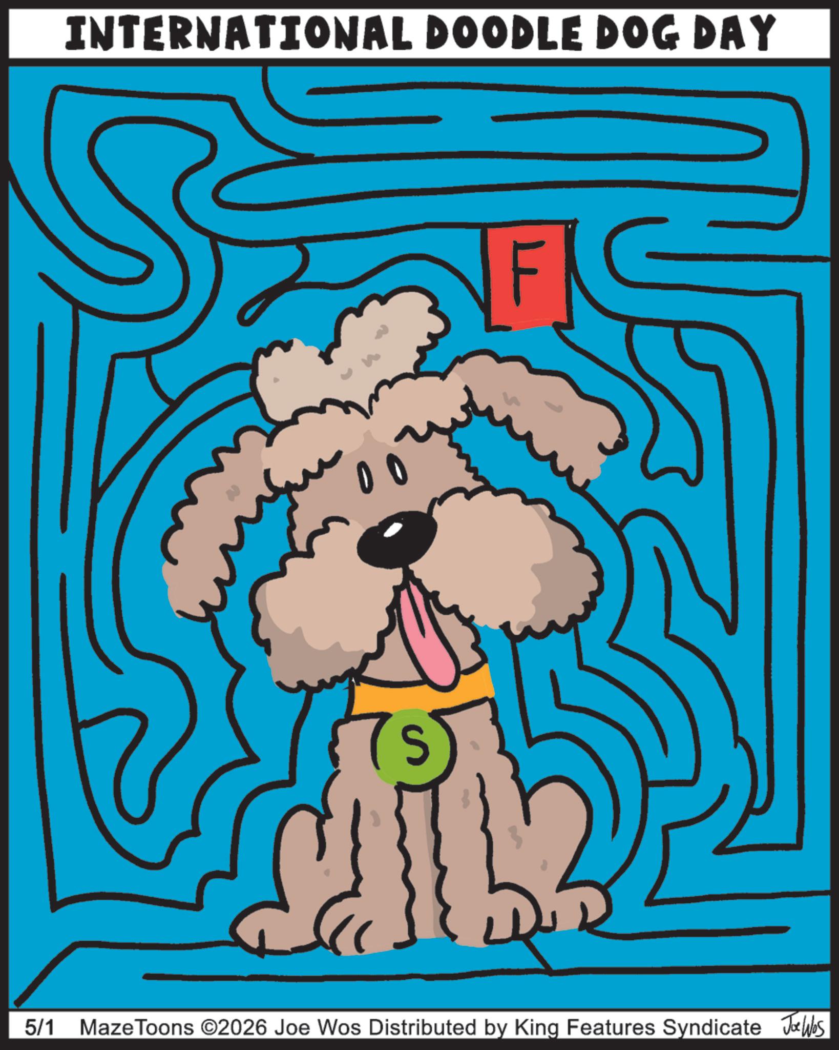 Happiness OCR: INTERNATIONAL DOODLE DOG DAY 5/1 Maze Toons ©2026 Joe Wos Distributed by King Features Syndicate Joe Was INTERNATIONAL DOODLE DOG DAY 5/1 Maze Toons © 2026 Joe Wos Distributed by King Features Syndicate Joe Was
