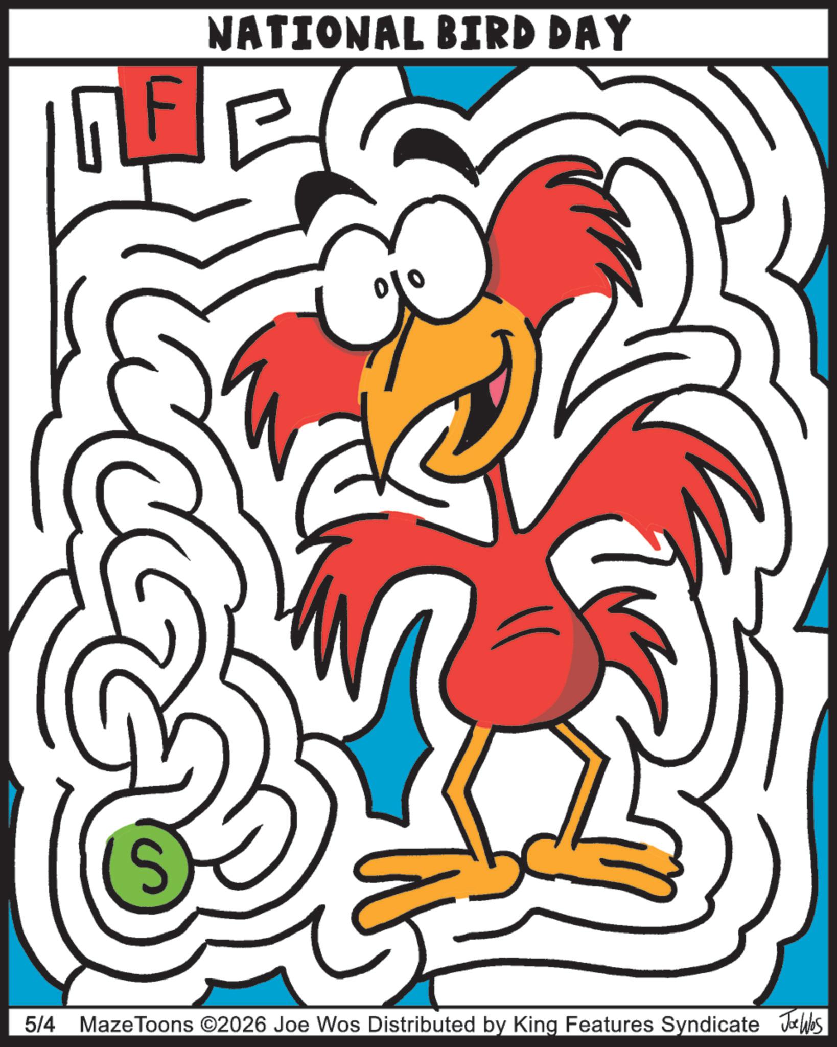 Coloring book OCR: S NATIONAL BIRD DAY 5/4 MazeToons ©2026 Joe Wos Distributed by King Features Syndicate Joe Was S NATIONAL BIRD DAY 5/4 MazeToons © 2026 Joe Wos Distributed by King Features Syndicate Joe Was