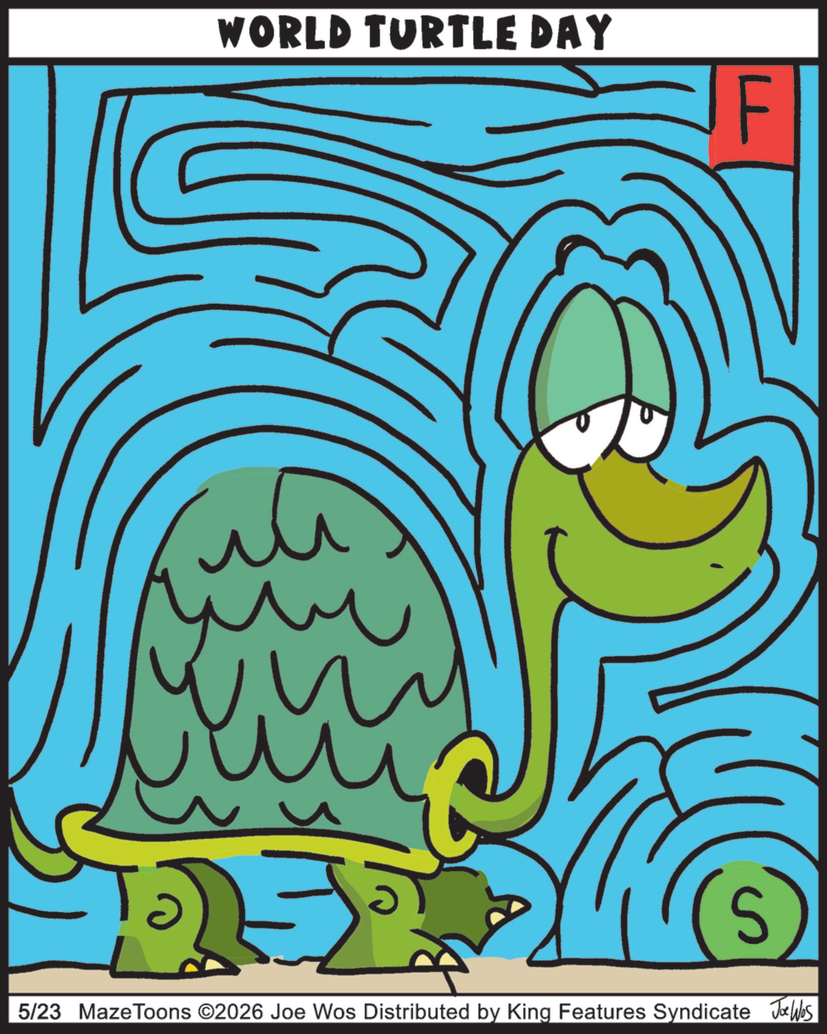 Graphics OCR: WORLD TURTLE DAY 5/23 Maze Toons ©2026 Joe Wos Distributed by King Features Syndicate Jalhos WORLD TURTLE DAY 5/23 Maze Toons © 2026 Joe Wos Distributed by King Features Syndicate Jalhos