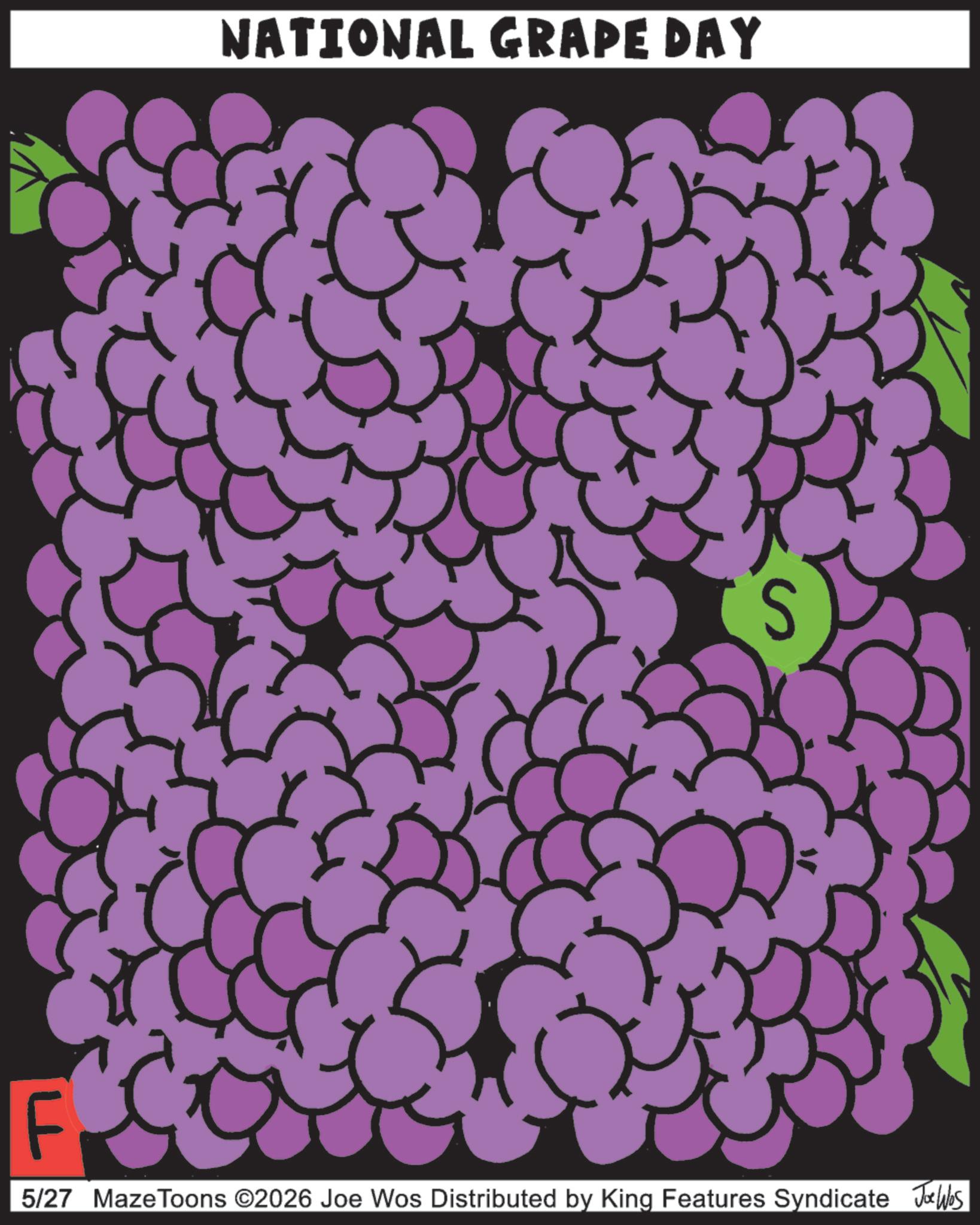 Produce OCR: NATIONAL GRAPE DAY F 5/27 MazeToons ©2026 Joe Wos Distributed by King Features Syndicate Joe Was NATIONAL GRAPE DAY F 5/27 MazeToons © 2026 Joe Wos Distributed by King Features Syndicate Joe Was
