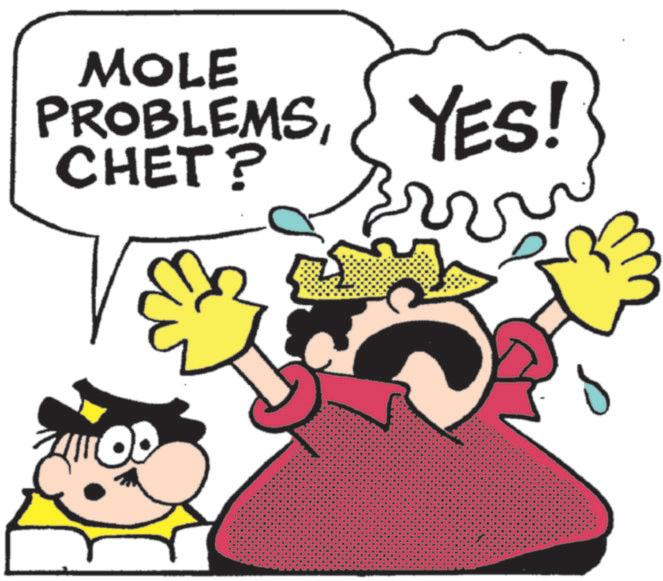Fiction OCR: MOLE PROBLEMSYES! CHET? MOLE PROBLEMSYES ! CHET ?