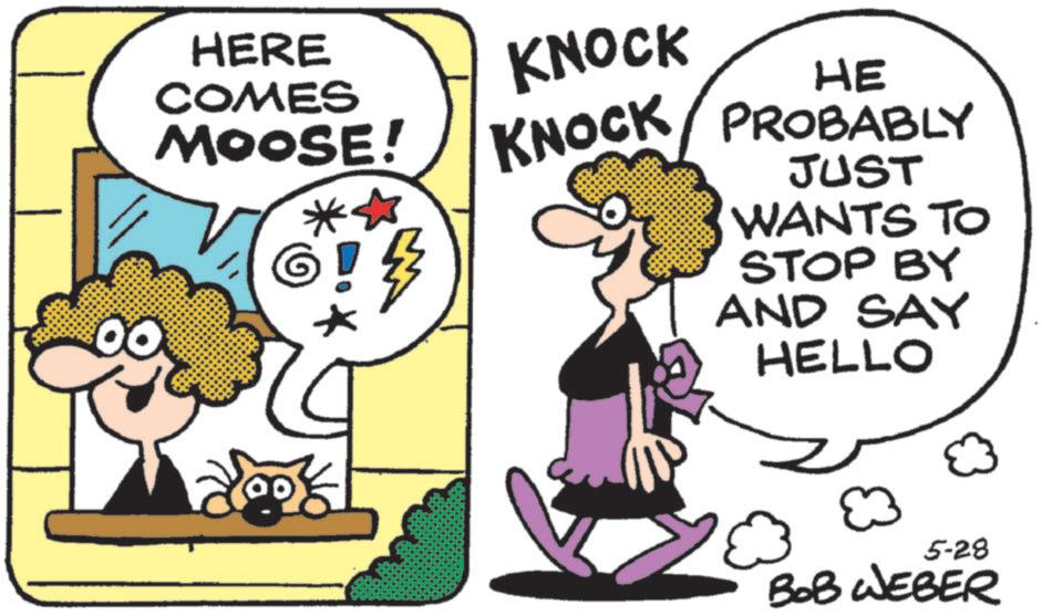 Photo caption OCR: HERE COMES MOOSE! HE KNOCK KNOCK PROBABLY JUST WANTS TO STOP BY AND SAY HELLO 5-28 BOB WEBER HERE COMES MOOSE ! HE KNOCK KNOCK PROBABLY JUST WANTS TO STOP BY AND SAY HELLO 5-28 BOB WEBER