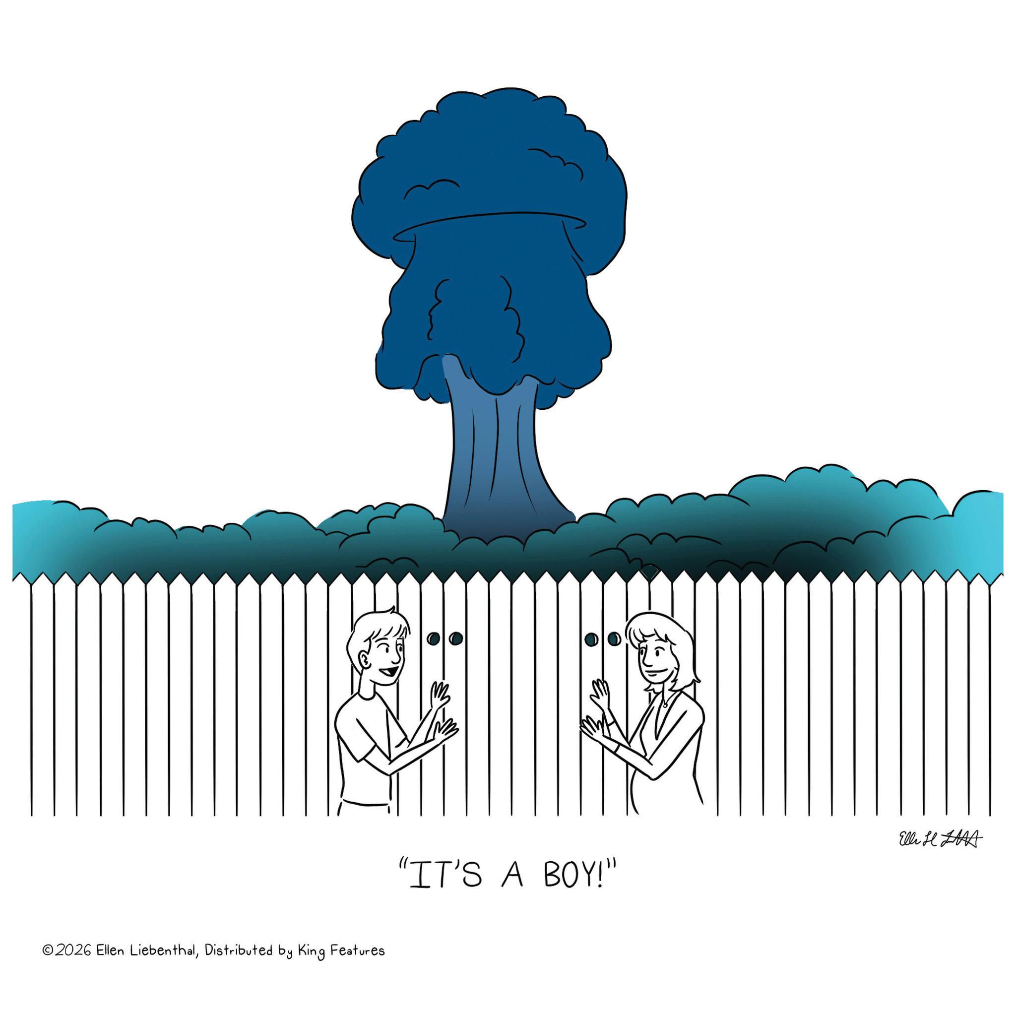 Distributed by King Features "IT'S A BOY!" Elli HAA © 2026 Ellen LiebenthalDistributed by King Features " IT'S A BOY ! " Elli HAA