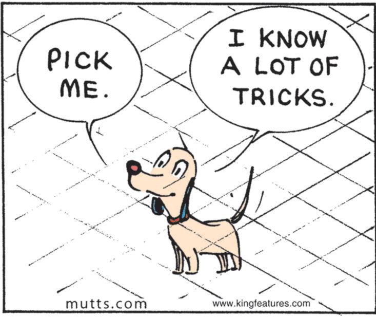 Working animal OCR: PICK ME. I KNOW A LOT OF TRICKS. " mutts.com www.kingfeatures.com PICK ME . I KNOW A LOT OF TRICKS . " mutts.com www.kingfeatures.com