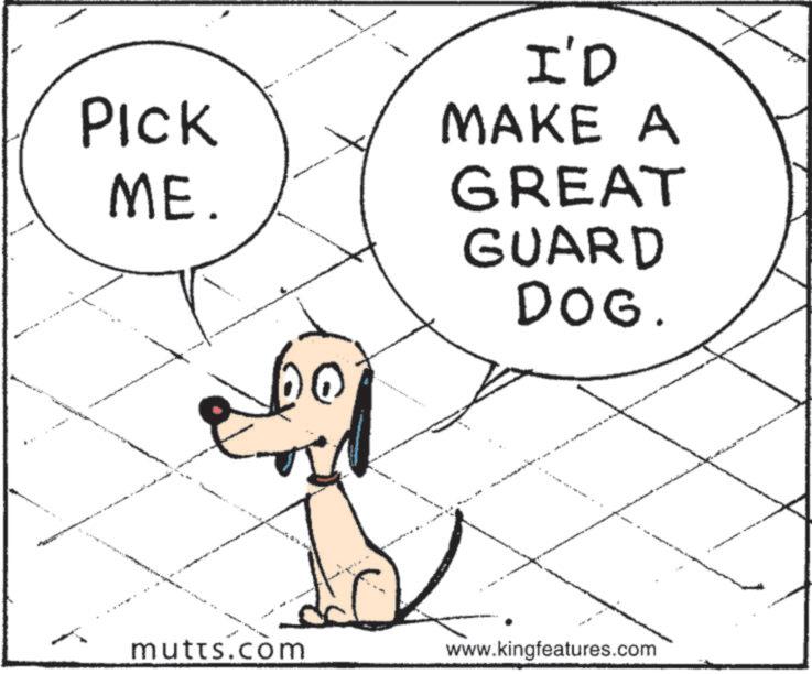 Working animal OCR: PICK ME. ** I'D MAKE A GREAT GUARD DOG. mutts.com www.kingfeatures.com 4 PICK ME . ** I'D MAKE A GREAT GUARD DOG . mutts.com www.kingfeatures.com 4