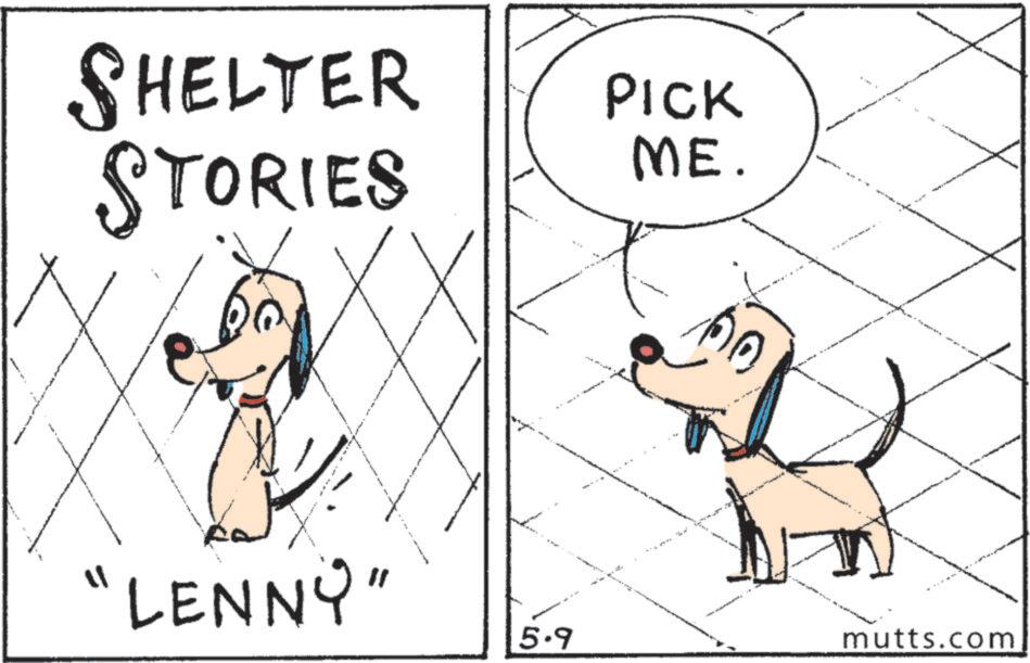 Fiction OCR: SHELTER STORIES PICK ME. "LENNY" • 5.9 mutts.com SHELTER STORIES PICK ME . " LENNY " • 5.9 mutts.com