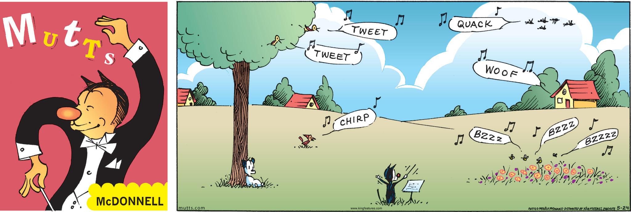 Graphics OCR: Mut T's MCDONNELL TWEET TWEET ? QUACK . WOOF CHIRP Bzzz mutts.com www.kingfeatures.com BZZZ B2222 MUTTS PATRICK MYDOUWE DISTRIBUTED BY KING FEATURES SYNDICATE 5-24 Mut T's MCDONNELL TWEET TWEET ? QUACK . WOOF CHIRP Bzzz mutts.com www.kingfeatures.com BZZZ B2222 MUTTS PATRICK MYDOUWE DISTRIBUTED BY KING FEATURES SYNDICATE 5-24