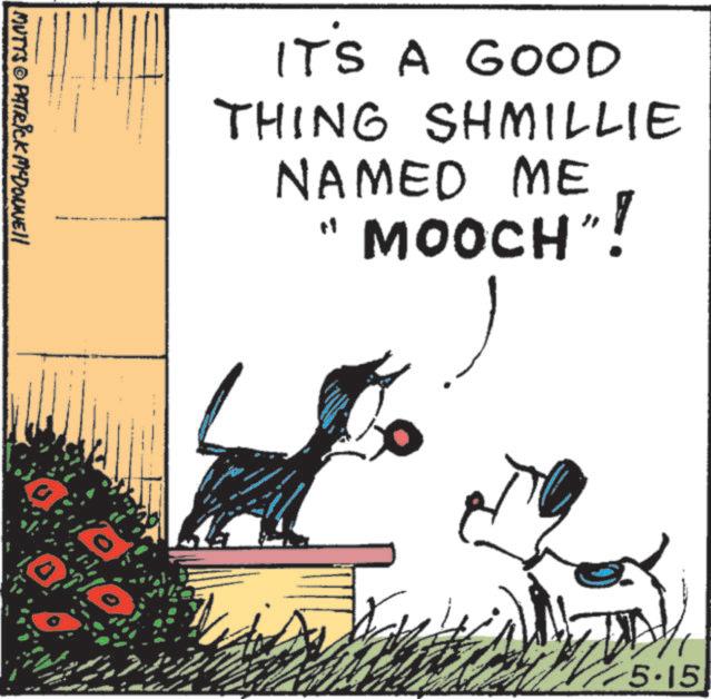 Comics OCR: MUTTS PATRICK McDonnell IT'S A GOOD THING SHMILLIE NAMED ME MOOCH" 5.15 MUTTS PATRICK McDonnell IT'S A GOOD THING SHMILLIE NAMED ME MOOCH " 5.15