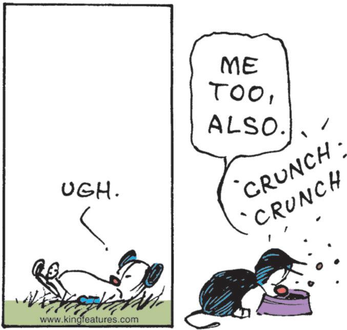 Graphics OCR: UGH. www.kingfeatures.com ME TOOALSO. CRUNCH: 'CRUNCH UGH . www.kingfeatures.com ME TOOALSO . CRUNCH : ' CRUNCH