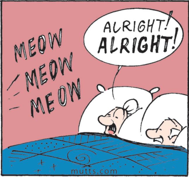 Photo caption OCR: MEOW MEOW MEOW + + mutts.com ALRIGHT! ALRIGHT! MEOW MEOW MEOW + + mutts.com ALRIGHT ! ALRIGHT !