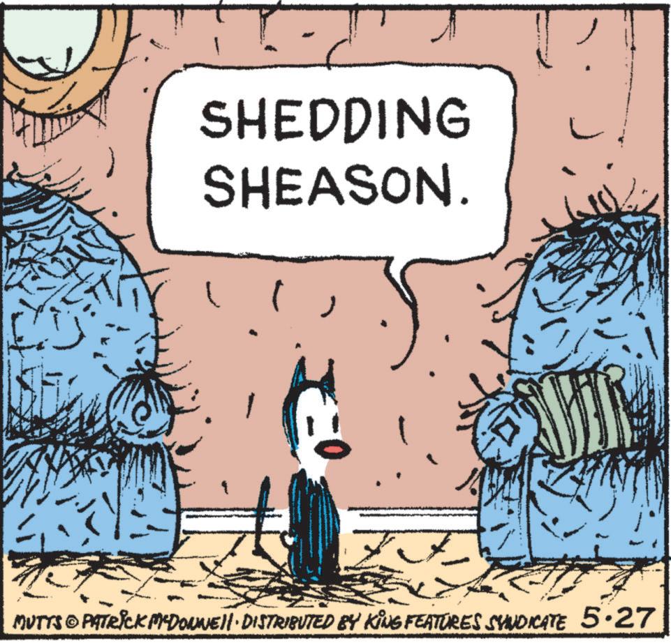 Publication OCR: SHEDDING SHEASON. MUTTS © PATRICK MEDONNELL DISTRIBUTED BY KING FEATURES SYNDICATE 5.27 SHEDDING SHEASON . MUTTS © PATRICK MEDONNELL DISTRIBUTED BY KING FEATURES SYNDICATE 5.27