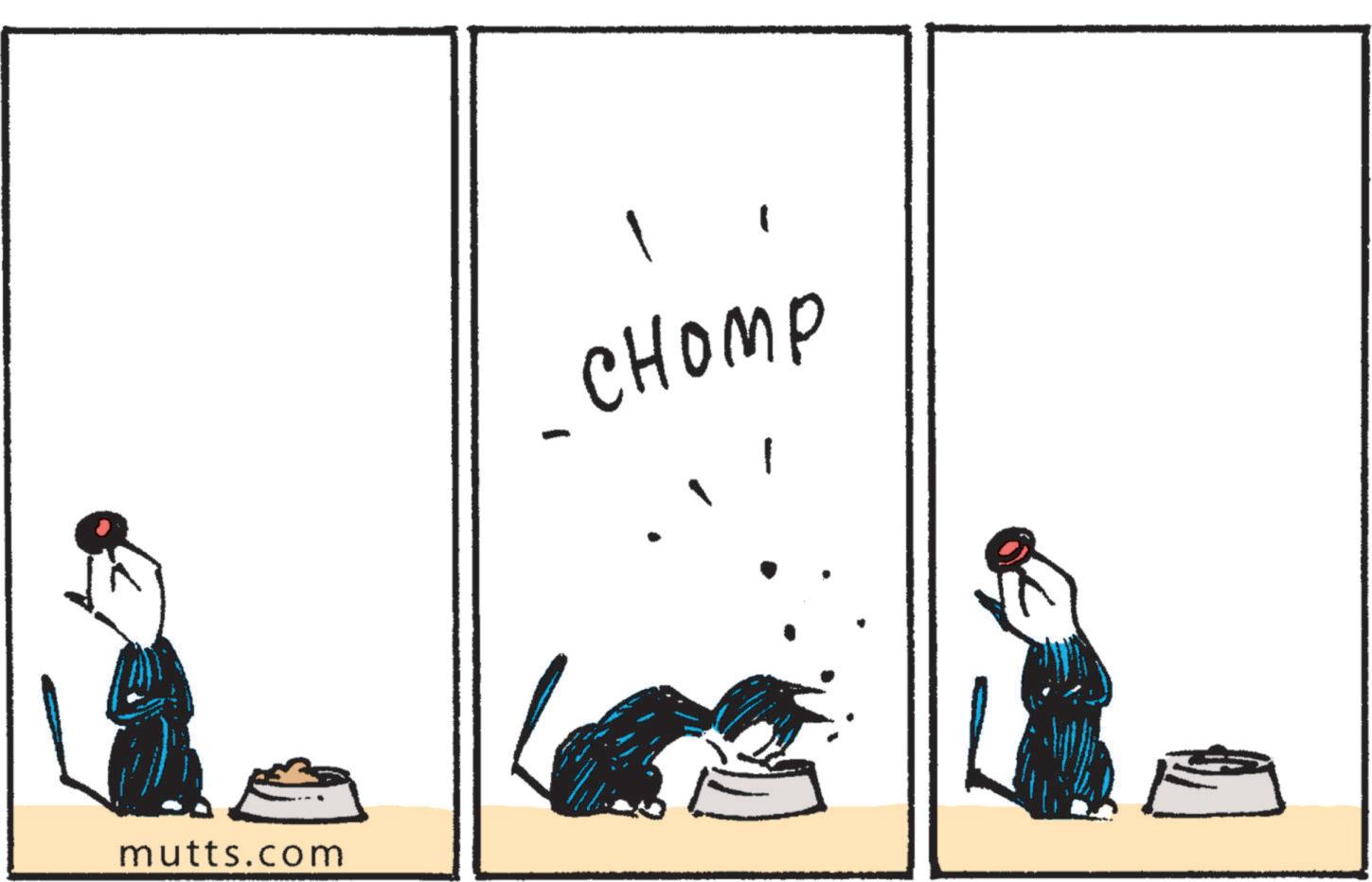 Animation OCR: mutts.com ????? mutts.com ?????