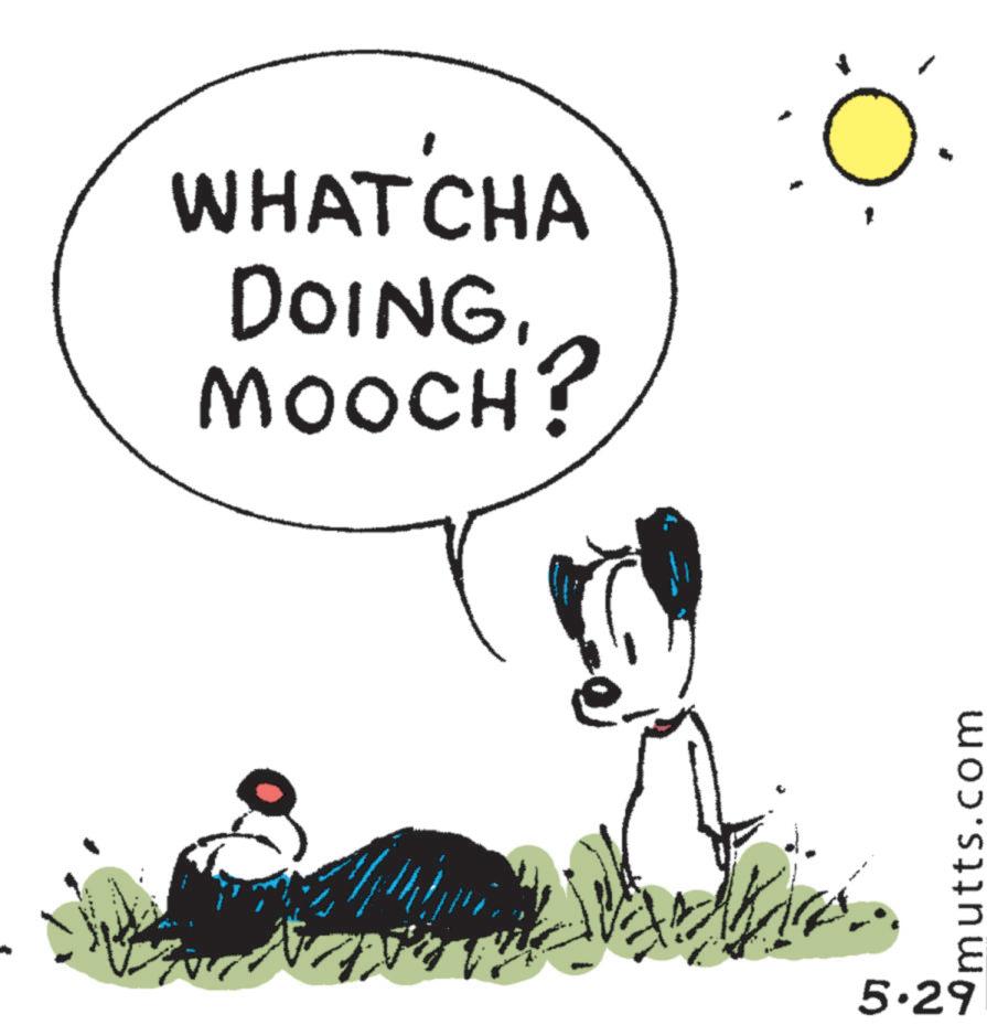 Happiness OCR: WHAT'CHA DOING. MOOCH? Omutts.com 5.29 WHAT'CHA DOING . MOOCH ? Omutts.com 5.29