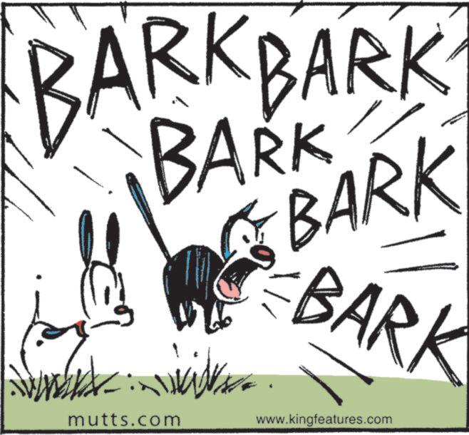 Snout OCR: E BARK BARK BARK mutts.com www.kingfeatures.com E BARK BARK BARK mutts.com www.kingfeatures.com
