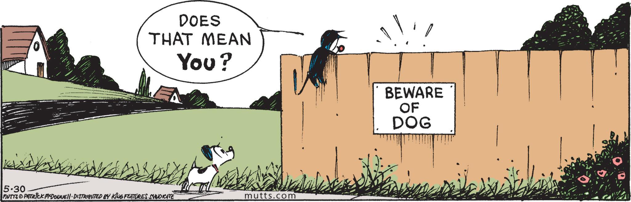Fiction OCR: 5.30 DOES THAT MEAN You? MUTTS PATRICK MCDONNELL DISTRIBUTED BY KING FEATURES SYNDICATE mutts.com BEWARE OF DOG 5.30 DOES THAT MEAN You ? MUTTS PATRICK MCDONNELL DISTRIBUTED BY KING FEATURES SYNDICATE mutts.com BEWARE OF DOG