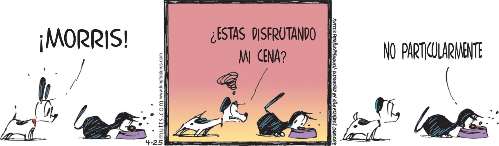 Comics OCR: ¡MORRIS! 4.25 Gmutts.com www.kingfeatures.com ¿ESTAS DISFRUTANDO MI CENA? ? MUTTS&PATRICK MADONNE!!· DISTRIBUTED BY KING FEATURES SYNDICATE NO PARTICULARMENTE ¡ MORRIS ! 4.25 Gmutts.com www.kingfeatures.com ¿ ESTAS DISFRUTANDO MI CENA ? ? MUTTS & PATRICK MADONNE !! · DISTRIBUTED BY KING FEATURES SYNDICATE NO PARTICULARMENTE