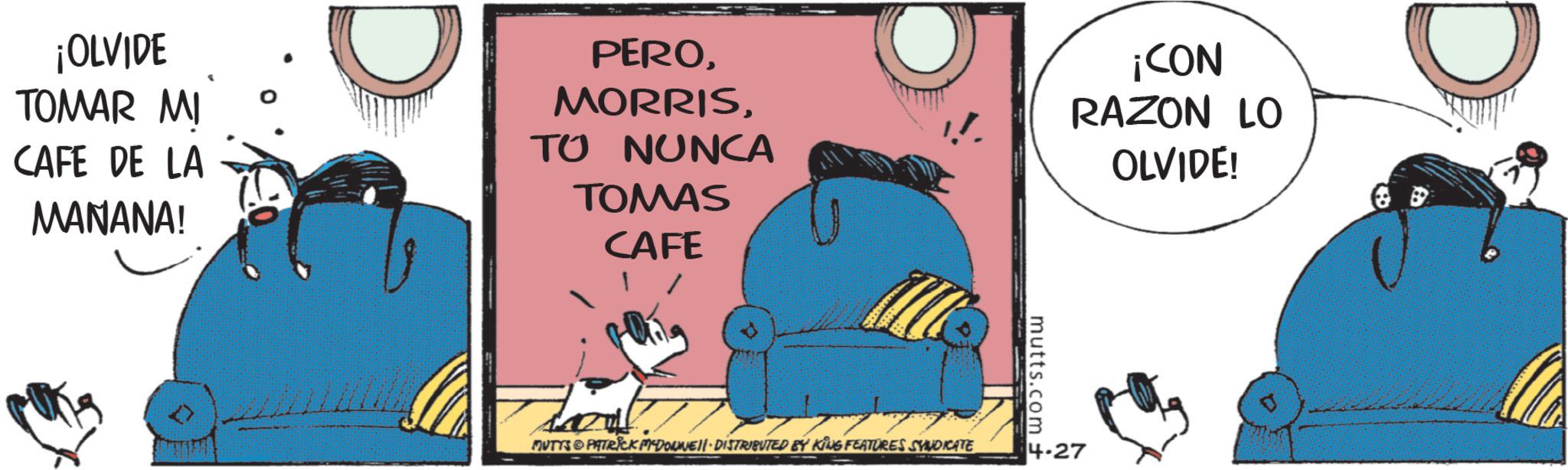Comics OCR: D ¡OLVIDE TOMAR MI CAFE DE LA MANANA! D PEROTO NUNCA TOMAS CAFE 1 / ¡CON RAZON LO OLVIDE! mutts.com + MUTTS PATRICK PIDONEI DISTRIBUTED BY KING FEATURES SYNDICATE 4.27 D ¡ OLVIDE TOMAR MI CAFE DE LA MANANA ! D PEROTO NUNCA TOMAS CAFE 1 / ¡ CON RAZON LO OLVIDE ! mutts.com + MUTTS PATRICK PIDONEI DISTRIBUTED BY KING FEATURES SYNDICATE 4.27