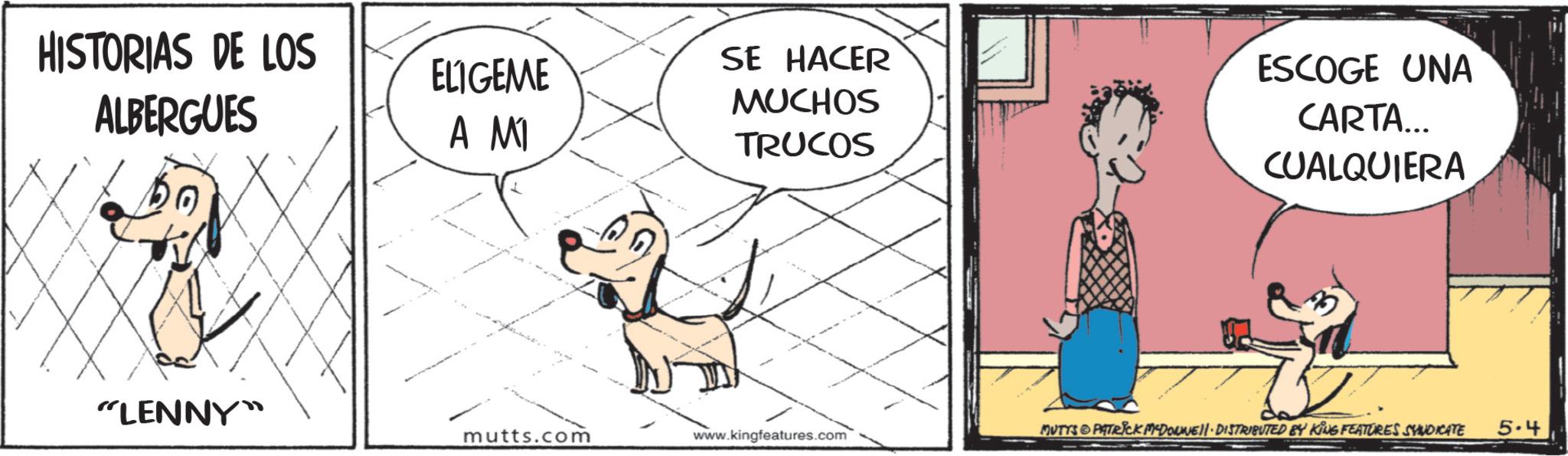 Comic book OCR: HISTORIAS DE LOS ALBERGUES ELIGEME A MI SE HACER MUCHOS TRUCOS ESCOGE UNA CARTA... CUALQUIERA A "LENNY" mutts.com MUTTS PATRICK MYDOLWEN. DISTRIBUTED BY KING FEATURES SYNDICATE 5.4 www.kingfeatures.com HISTORIAS DE LOS ALBERGUES ELIGEME A MI SE HACER MUCHOS TRUCOS ESCOGE UNA CARTA ... CUALQUIERA A " LENNY " mutts.com MUTTS PATRICK MYDOLWEN . DISTRIBUTED BY KING FEATURES SYNDICATE 5.4 www.kingfeatures.com
