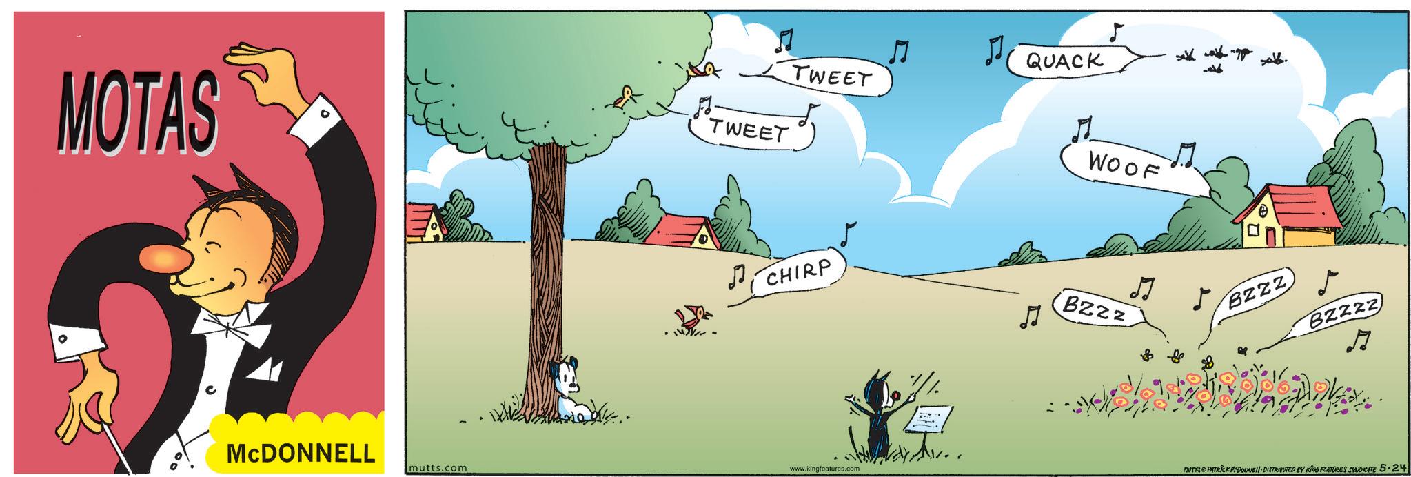Publication OCR: MOTAS TWEET TWEET QUACK WOOF CHIRP Bzzz MCDONNELL mutts.com www.kingfeatures.com BZZZ BZZZZ MUTY PATRICK MYDONE!! DISTRIBUTED BY KING FEATURES SYNDICATE 5-24 MOTAS TWEET TWEET QUACK WOOF CHIRP Bzzz MCDONNELL mutts.com www.kingfeatures.com BZZZ BZZZZ MUTY PATRICK MYDONE !! DISTRIBUTED BY KING FEATURES SYNDICATE 5-24