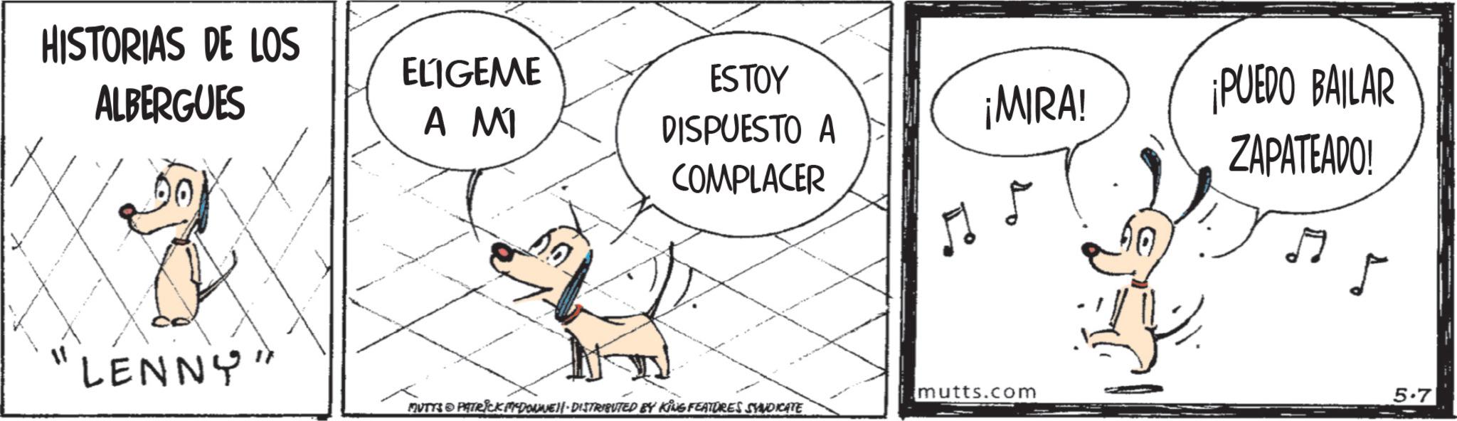Working animal OCR: HISTORIAS DE LOS ALBERGUES 00 ELIGEME A MI LENNY" ESTOY DISPUESTO A COMPLACER ¡MIRA! mutts.com MUTTS PATRICK DONNE DISTRIBUTED BY KING FEATURES SYNDICATE ¡PUEDO BAILAR ZAPATEADO! ? 5.7 HISTORIAS DE LOS ALBERGUES 00 ELIGEME A MI LENNY " ESTOY DISPUESTO A COMPLACER ¡ MIRA ! mutts.com MUTTS PATRICK DONNE DISTRIBUTED BY KING FEATURES SYNDICATE ¡ PUEDO BAILAR ZAPATEADO ! ? 5.7