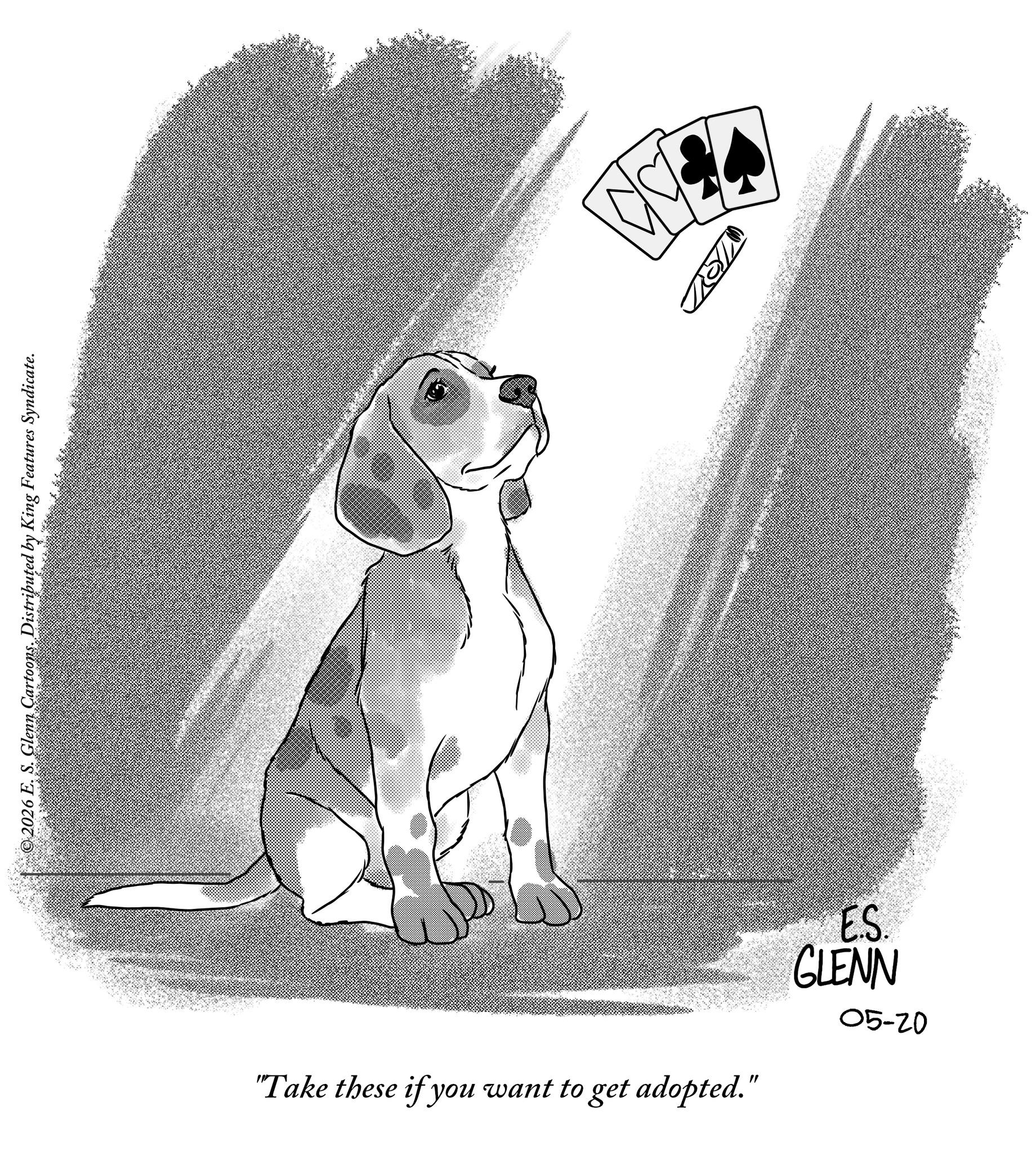 Animation OCR: ©2026 E. S. Glenn Cartoons. Distributed by King Features Syndicate. "Take these if you want to get adopted." ES. GLENN 05-20 © 2026 E. S. Glenn Cartoons . Distributed by King Features Syndicate . " Take these if you want to get adopted . " ES . GLENN 05-20