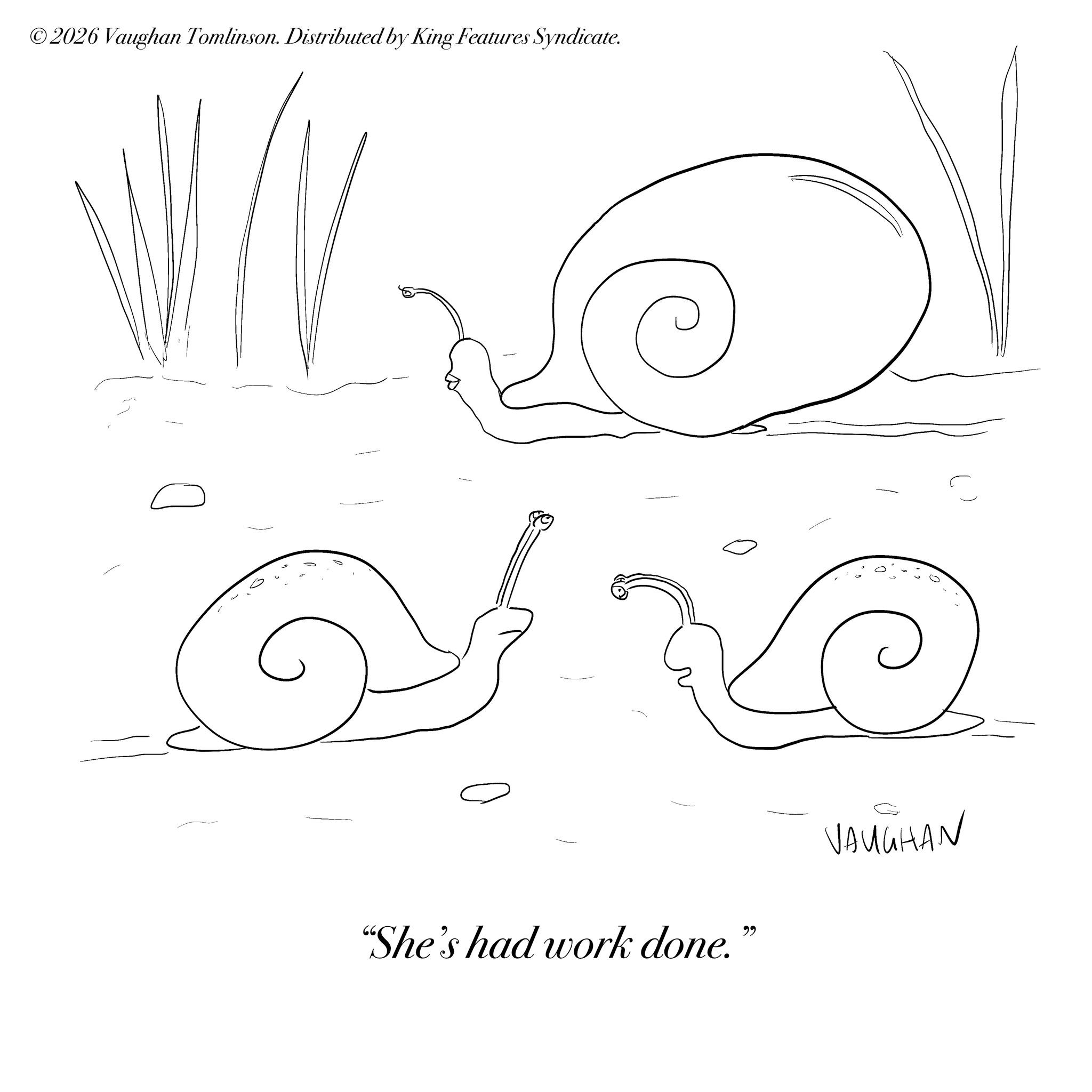 Clip art OCR: ©2026 Vaughan Tomlinson. Distributed by King Features Syndicate. "She's had work done." VAUGHAN © 2026 Vaughan Tomlinson . Distributed by King Features Syndicate . " She's had work done . " VAUGHAN