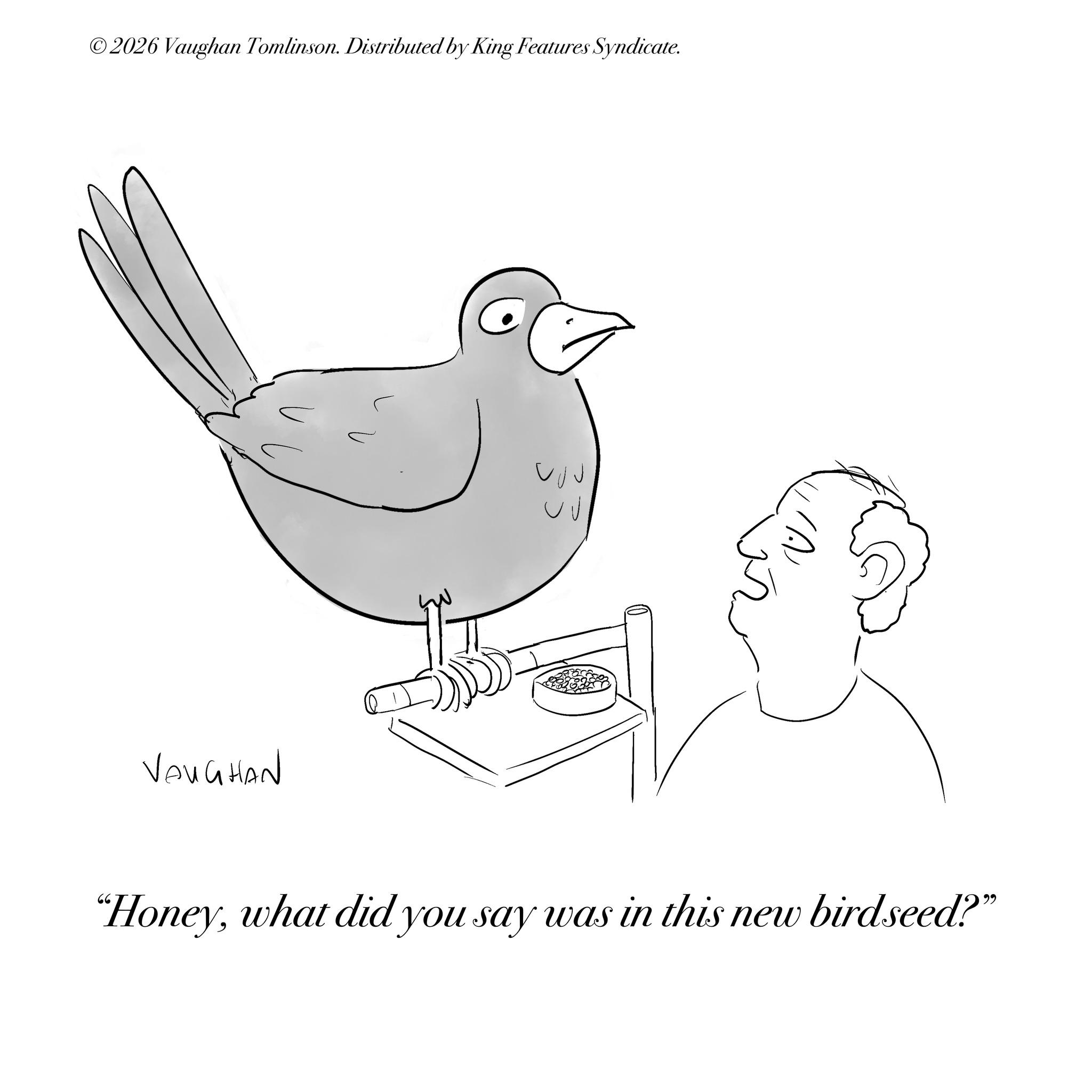 Sketch OCR: ©2026 Vaughan Tomlinson. Distributed by King Features Syndicate. VAUGHAN "Honeywhat did you say was in this new birdseed?" © 2026 Vaughan Tomlinson . Distributed by King Features Syndicate . VAUGHAN " Honeywhat did you say was in this new birdseed ? "