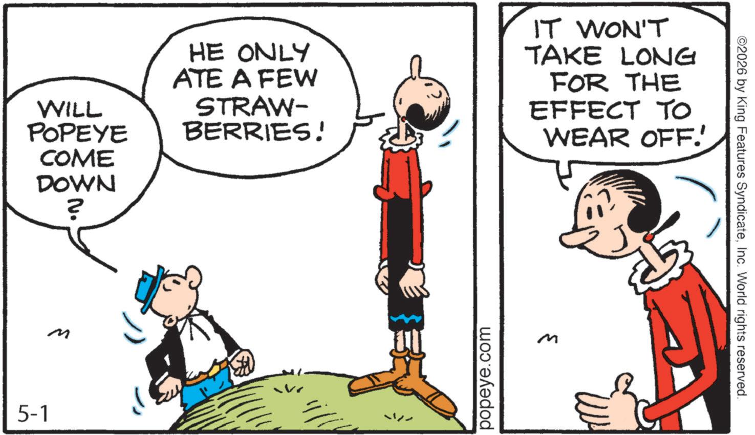 Comic book OCR: WILL POPEYE COME DOWN ? HE ONLY ATE A FEW STRAW- BERRIES! IT WON'T TAKE LONG FOR THE EFFECT TO WEAR OFF.!' M 5-1 S popeye.com M ©2026 by King Features SyndicateInc. World rights reserved. WILL POPEYE COME DOWN ? HE ONLY ATE A FEW STRAW- BERRIES ! IT WON'T TAKE LONG FOR THE EFFECT TO WEAR OFF . ! ' M 5-1 S popeye.com M © 2026 by King Features SyndicateInc. World rights reserved .