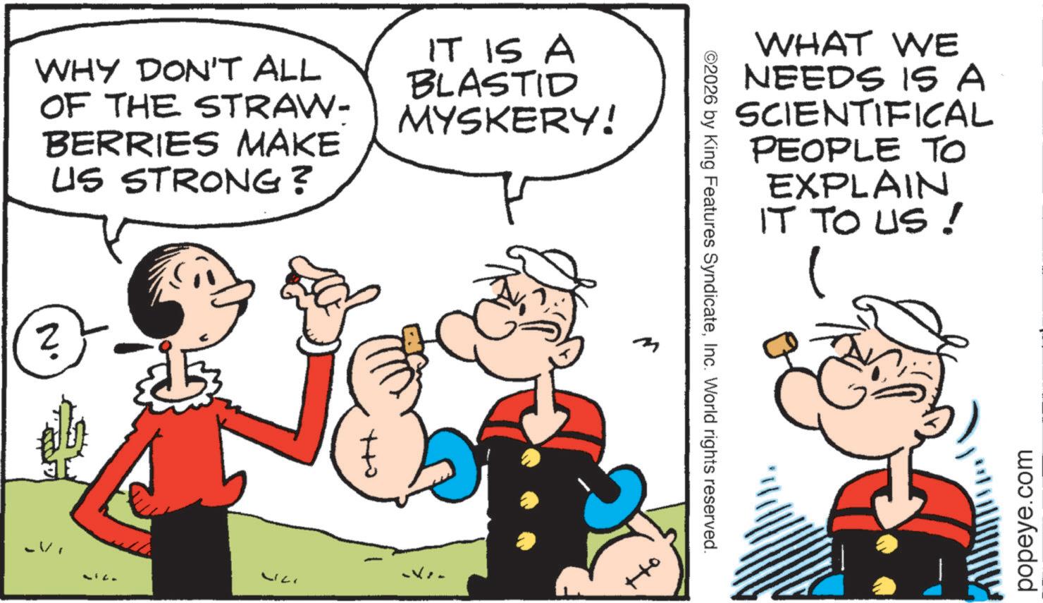 Animated cartoon OCR: WHY DON'T ALL OF THE STRAW- BERRIES MAKE US STRONG? IT IS A BLASTID MYSKERY! N. -V to WHAT WE NEEDS IS A SCIENTIFICAL PEOPLE TO EXPLAIN IT TO US ! ©2026 by King Features SyndicateInc. World rights reserved. m popeye.com WHY DON'T ALL OF THE STRAW- BERRIES MAKE US STRONG ? IT IS A BLASTID MYSKERY ! N. -V to WHAT WE NEEDS IS A SCIENTIFICAL PEOPLE TO EXPLAIN IT TO US ! © 2026 by King Features SyndicateInc. World rights reserved . m popeye.com