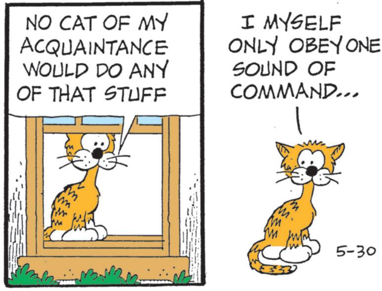 Fiction OCR: NO CAT OF MY ACQUAINTANCE WOULD DO ANY OF THAT STUFF I MYSELF ONLY OBEY ONE SOUND OF COMMAND... 5-30 NO CAT OF MY ACQUAINTANCE WOULD DO ANY OF THAT STUFF I MYSELF ONLY OBEY ONE SOUND OF COMMAND ... 5-30