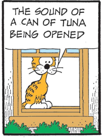 Pleased OCR: THE SOUND OF A CAN OF TUNA BEING OPENED THE SOUND OF A CAN OF TUNA BEING OPENED