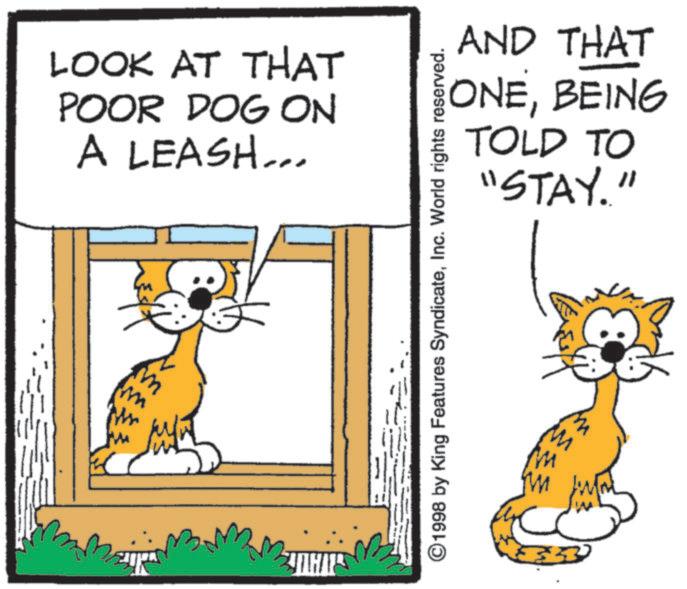 Tail OCR: LOOK AT THAT POOR DOG ON A LEASH... T WHATS AND THAT ONEBEING TOLD TO "STAY." ©1998 by King Features SyndicateInc. World rights reserved. LOOK AT THAT POOR DOG ON A LEASH ... T WHATS AND THAT ONEBEING TOLD TO " STAY . " © 1998 by King Features SyndicateInc. World rights reserved .