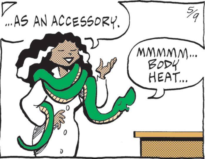 Graphics OCR: ...AS AN ACCESSORY. 5/9 MMMMM... BODY HEAT... D ... AS AN ACCESSORY . 5/9 MMMMM ... BODY HEAT ... D