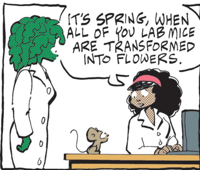Clip art OCR: IT'S SPRINGWHEN ALL OF YOU LAB MICE ARE TRANSFORMED INTO FLOWERS. 55 IT'S SPRINGWHEN ALL OF YOU LAB MICE ARE TRANSFORMED INTO FLOWERS . 55