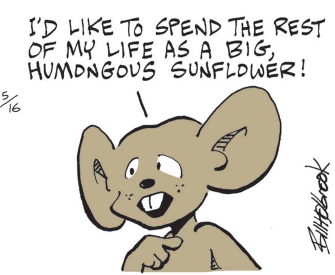 Animation OCR: 5/16 I'D LIKE TO SPEND THE REST OF MY LIFE AS A BIGHUMONGOUS SUNFLOWER! BlHobrook 5/16 I'D LIKE TO SPEND THE REST OF MY LIFE AS A BIGHUMONGOUS SUNFLOWER ! BlHobrook