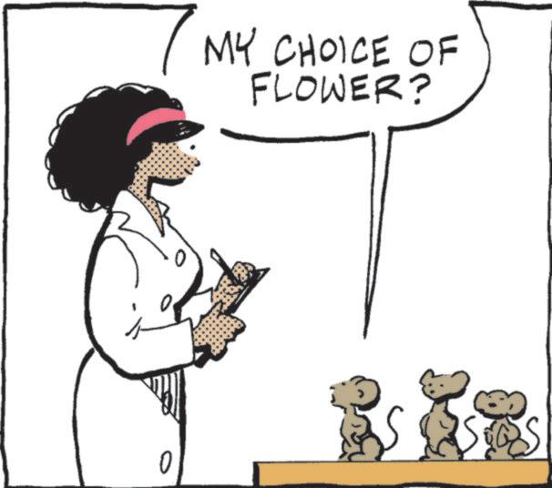 Pleased OCR: 7 MY_CHOICE OF FLOWER? 0 7 MY_CHOICE OF FLOWER ? 0