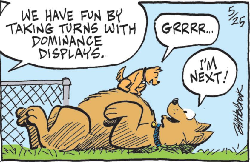 Canidae OCR: WE HAVE FUN BY TAKING TURNS WITH DOMINANCE DISPLAYS.. GRRRR... I'M NEXT! 5/25 ??????? WE HAVE FUN BY TAKING TURNS WITH DOMINANCE DISPLAYS .. GRRRR ... I'M NEXT ! 5/25 ???????